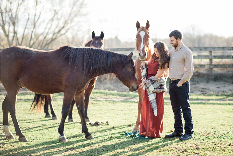 Brantford-engagement-photographer-Farm-Mount-pleasant-horses-joyful-karina-anne-photography_0008