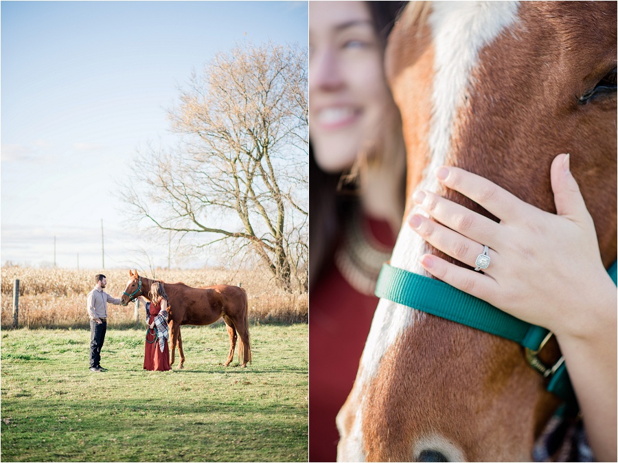 Brantford-engagement-photographer-Farm-Mount-pleasant-horses-joyful-karina-anne-photography_0010