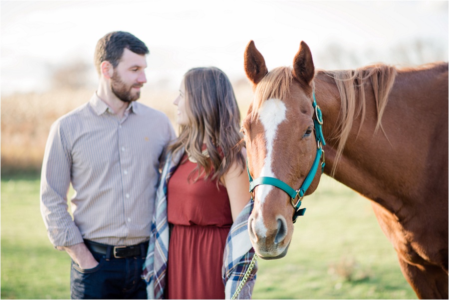 Brantford-engagement-photographer-Farm-Mount-pleasant-horses-joyful-karina-anne-photography_0012