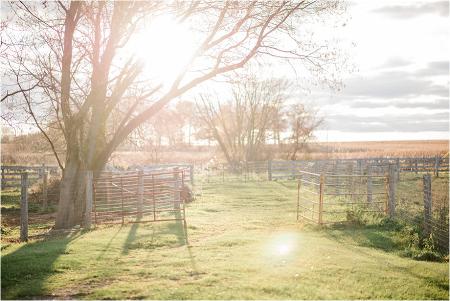 Brantford-engagement-photographer-Farm-Mount-pleasant-horses-joyful-karina-anne-photography_0021