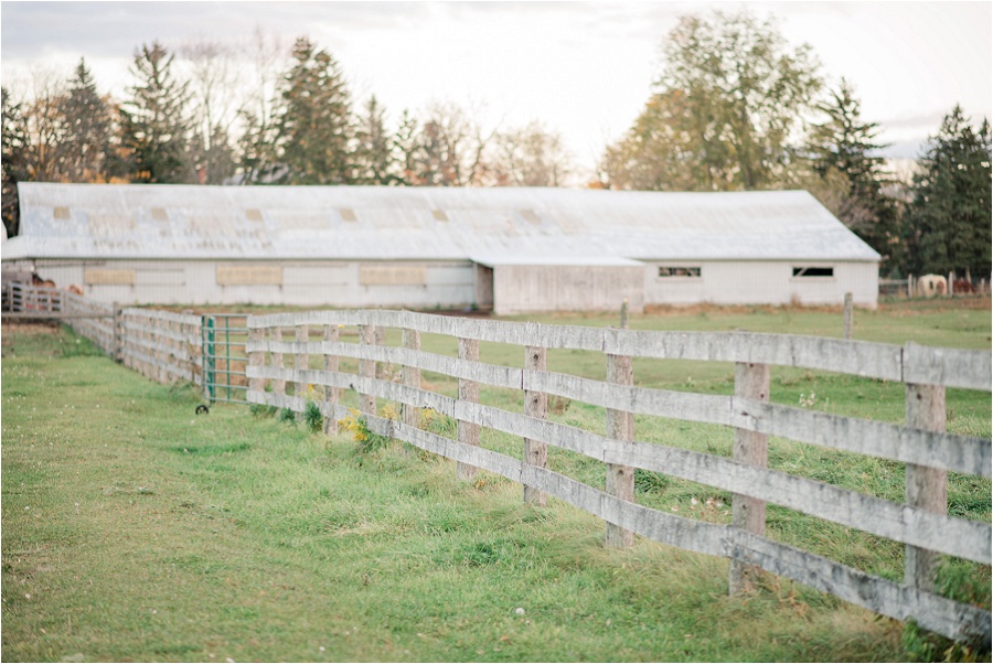 Brantford-engagement-photographer-Farm-Mount-pleasant-horses-joyful-karina-anne-photography_0030