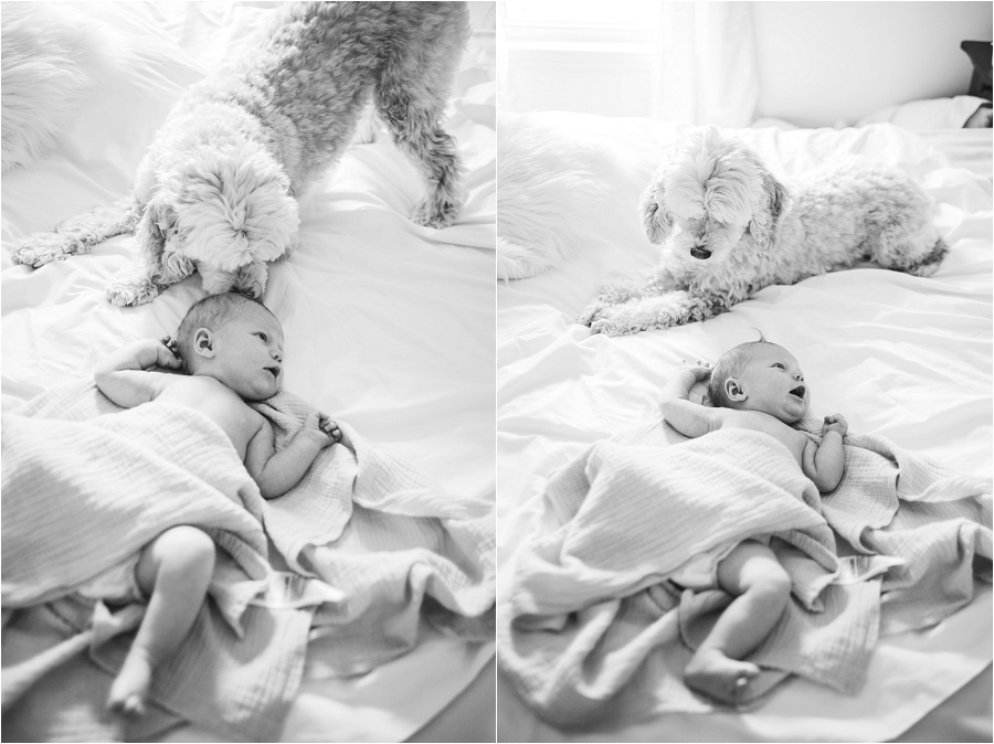 brantford-newborn-photographer-karina-anne-photography-_0004