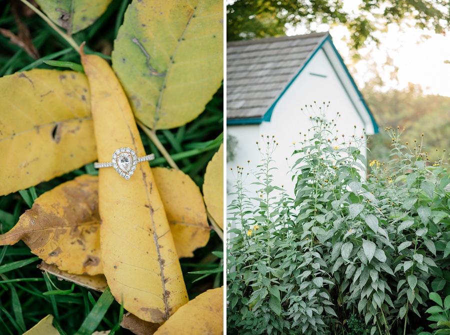 Ball's Falls Weddings - ring